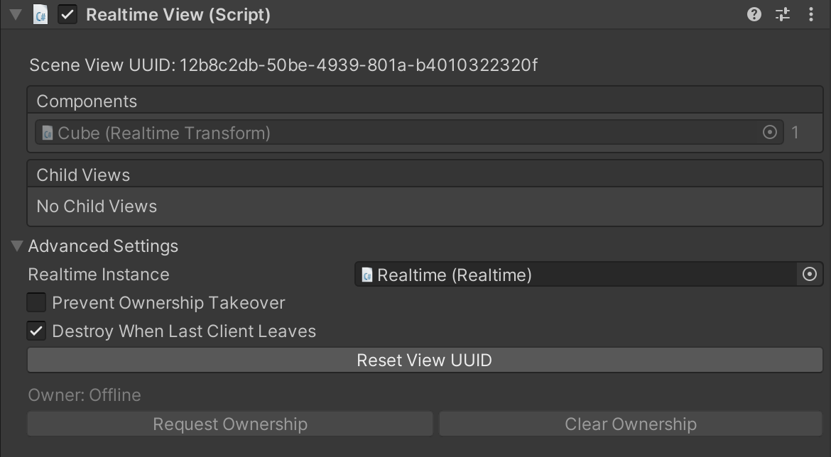 The RealtimeView inspector in Unity, with the Advanced Settings expanded.